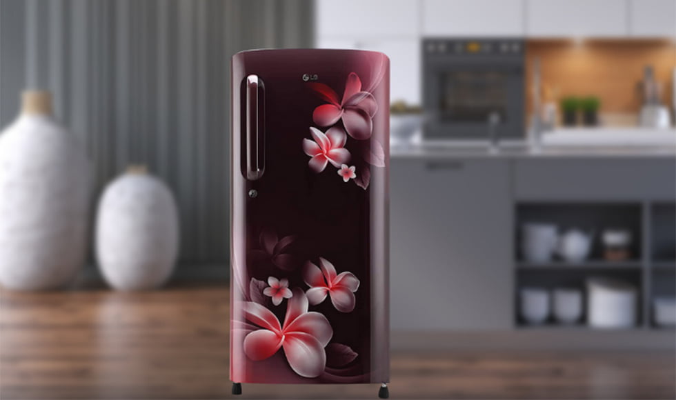 LG 190 L 4-Star Inverter Direct Cool Single Door Refrigerator