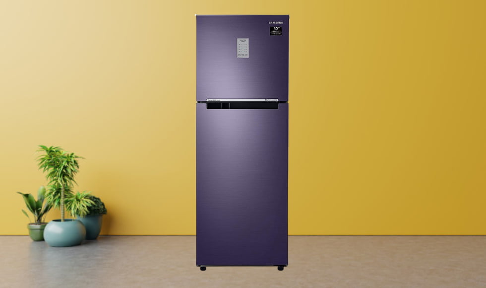 Samsung 253 L 2-Star Inverter Frost Free Double Door Refrigerator