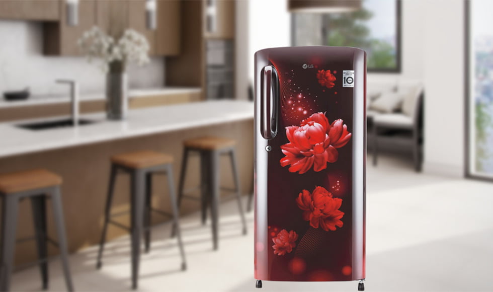 LG 190 L 4 Star Inverter Direct-Cool Single Door Refrigerator 2