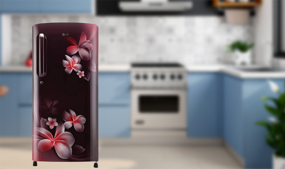 LG 190 L 4 Star Inverter Direct Cool Single Door Refrigerator