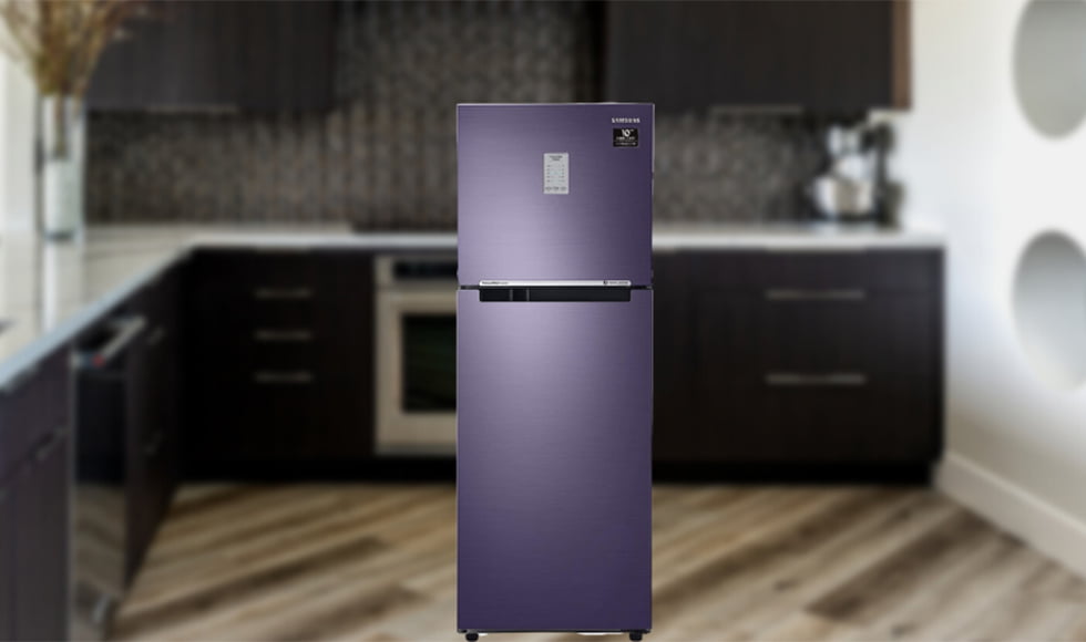 Samsung 253L 2 Star Inverter Frost Free Double Door Refrigerator