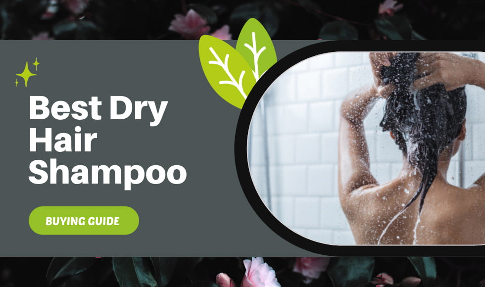 Best Dry Hair Shampoo