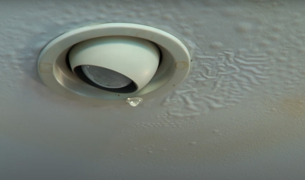 Leaks in any plumbing inside your home